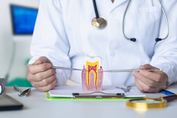 Best Weekend Emergency Dentist in Summerville, SC